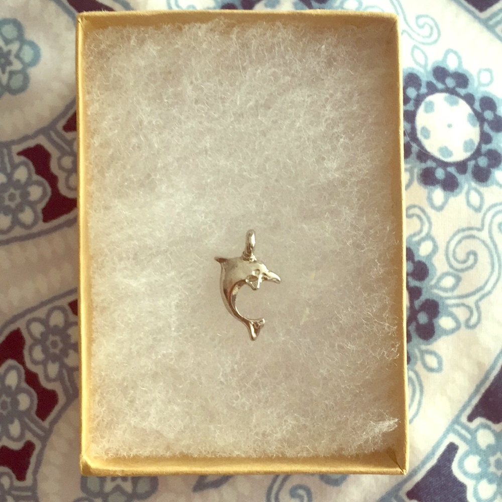 Sterling Silver Dolphin 🐬 Charm Necklace Pendant